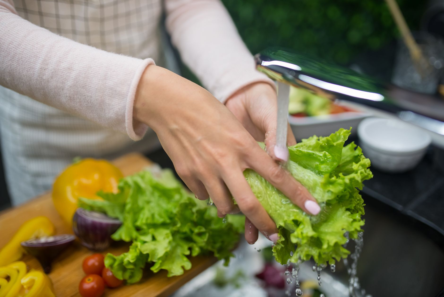 Daun selada segar siap jadi salad sehat, memberikan tekstur renyah dan rasa segar alami.